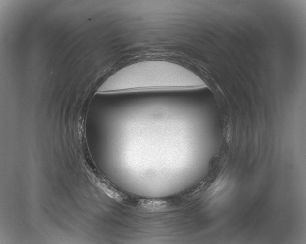 X0000079330476200611171001