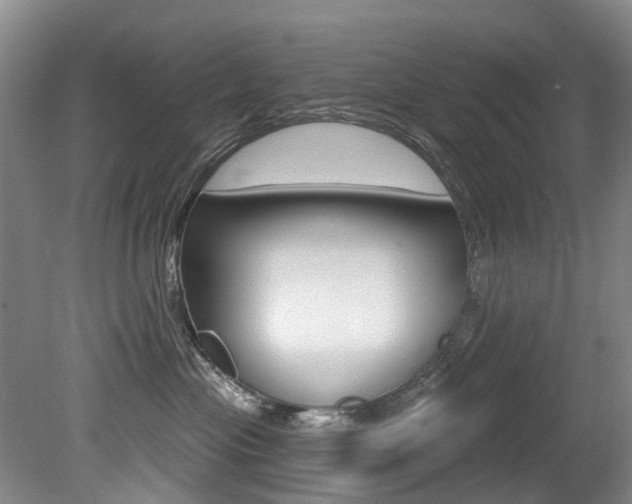 X0000079330477200611171001