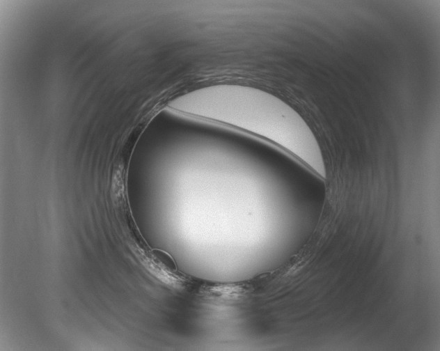 X0000079330478200611171001