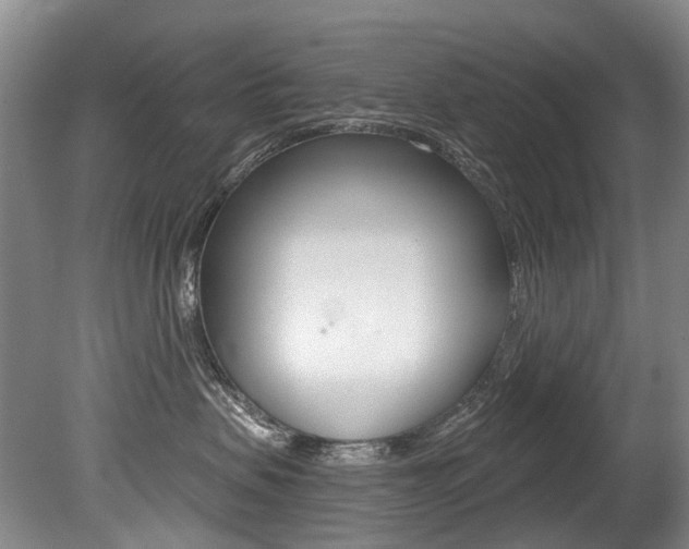 X0000079330479200611171001
