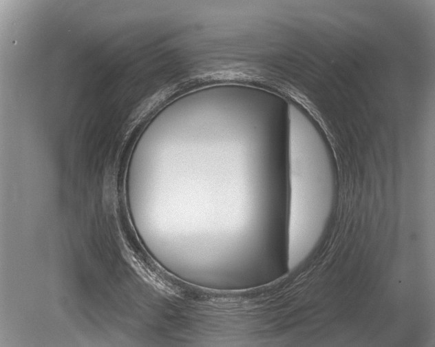 X0000079330482200611171000