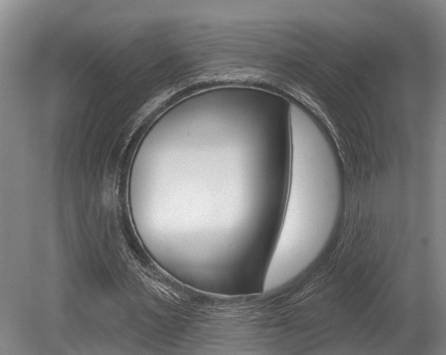 X0000079330483200611171000