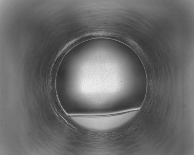 X0000079330484200611171000