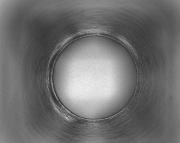 X0000079330486200611171000