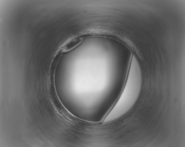 X0000079330488200611171000
