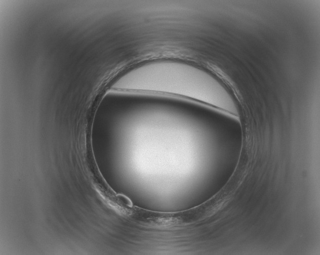 X0000079330493200611171000