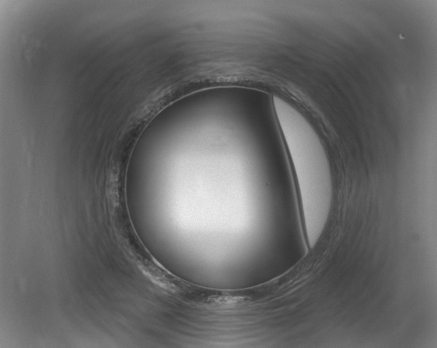 X0000079330497200611171000