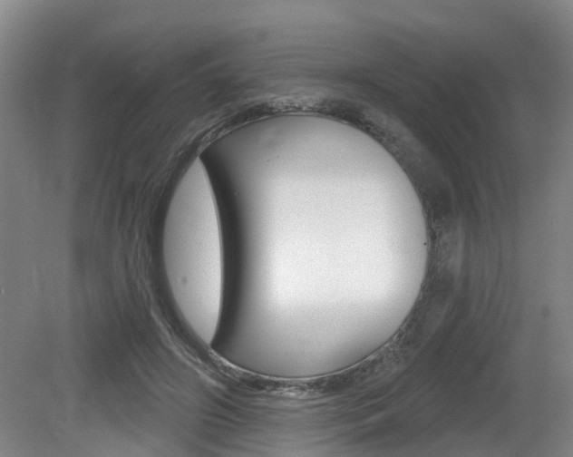 X0000079330498200611171000