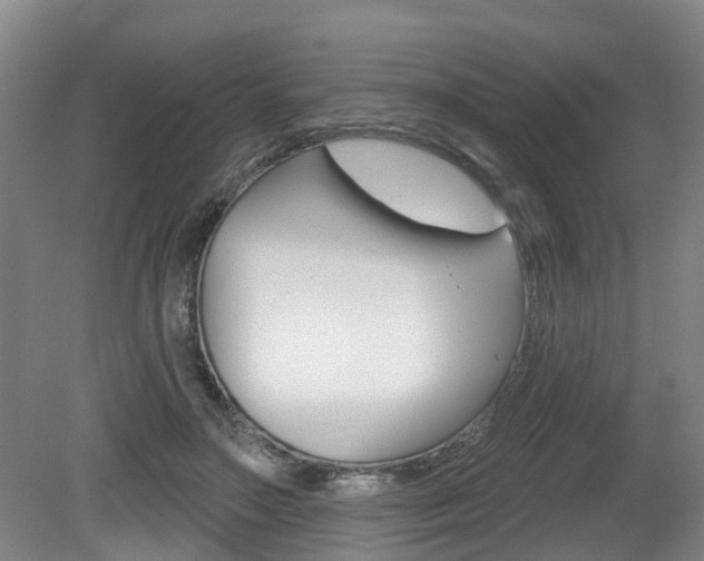 X0000079330499200611171000