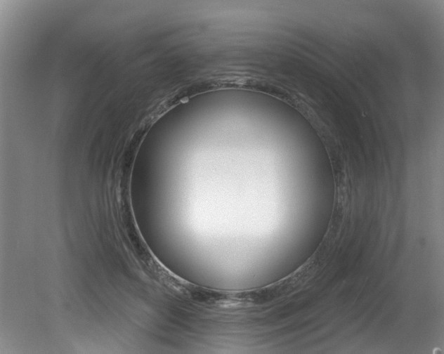 X0000079330504200611171000