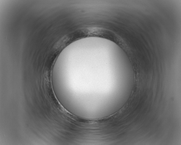 X0000079330506200611171000