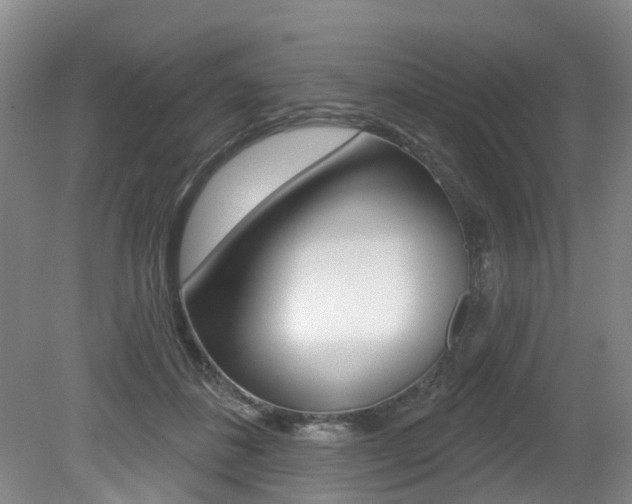 X0000079330508200611171000