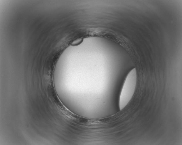 X0000079330510200611171000