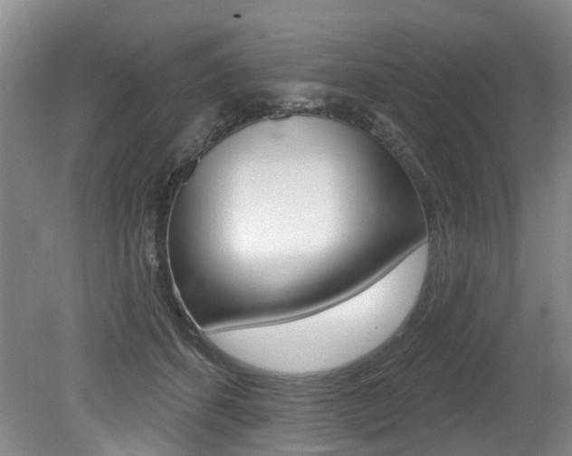 X0000079330512200611171000