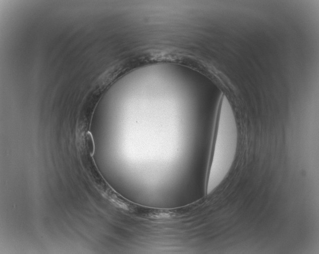 X0000079330513200611171000