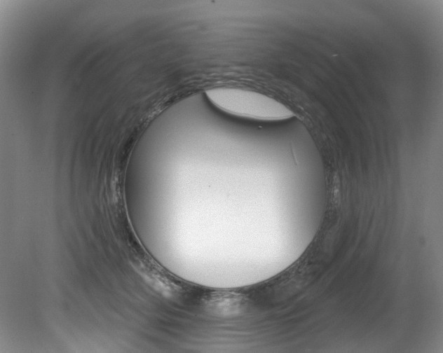 X0000079330514200611170959