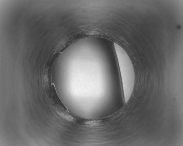 X0000079330516200611170959