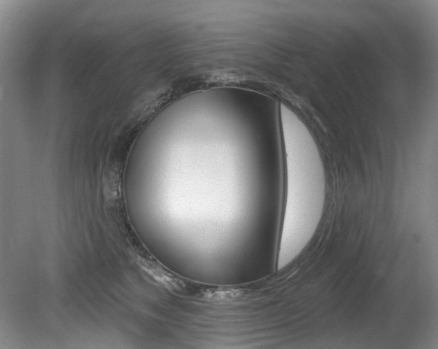 X0000079330517200611170959