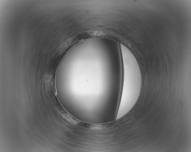 X0000079330521200611170959