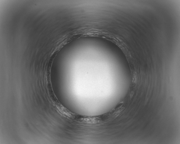 X0000079330524200611170959