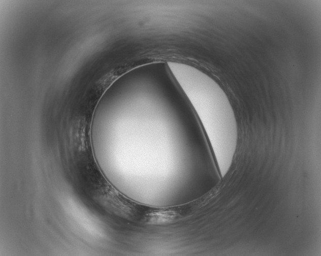 X0000079330525200611170959