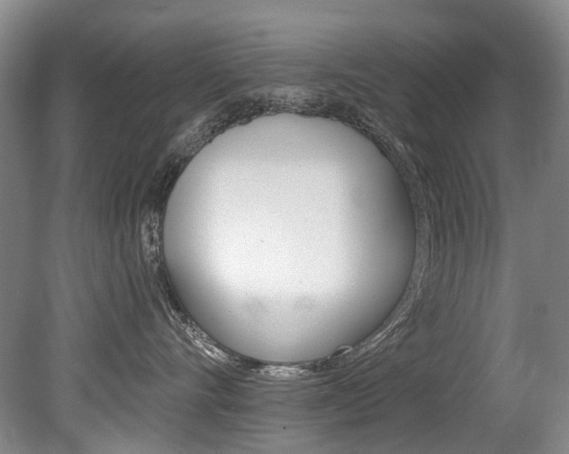 X0000079330528200611170959