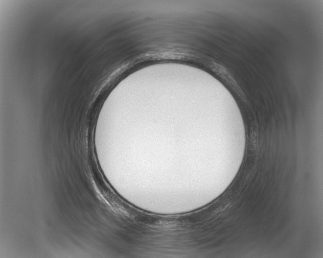 X0000079330534200611170959
