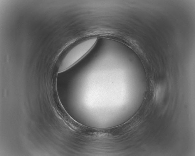 X0000079330539200611170959
