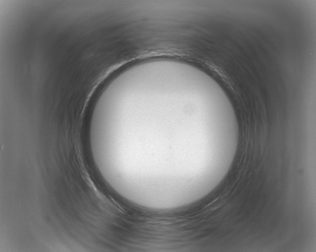 X0000079330540200611170959