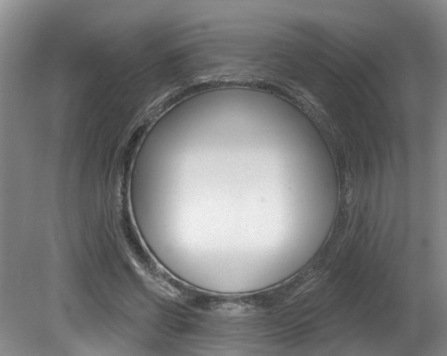 X0000079330542200611170959