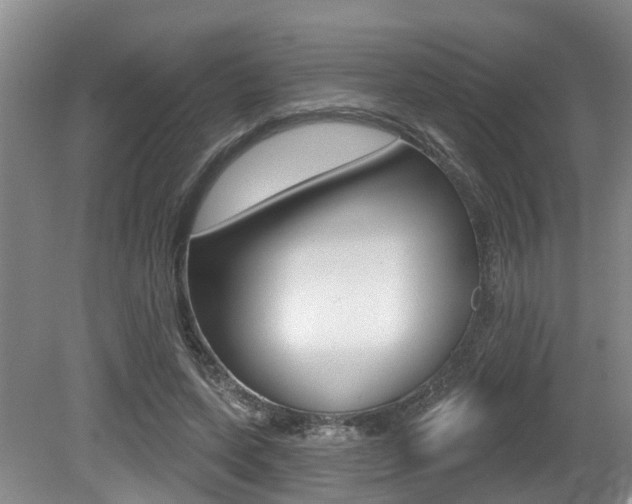 X0000079330543200611170959