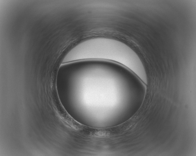 X0000079330546200611170959