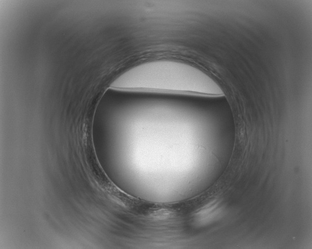 X0000079330551200611170959
