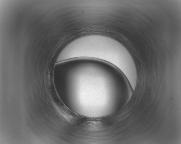 X0000079330552200611170959