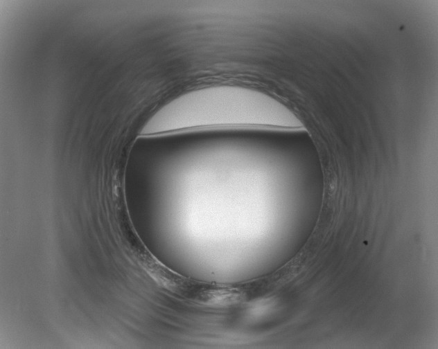 X0000079330555200611170959