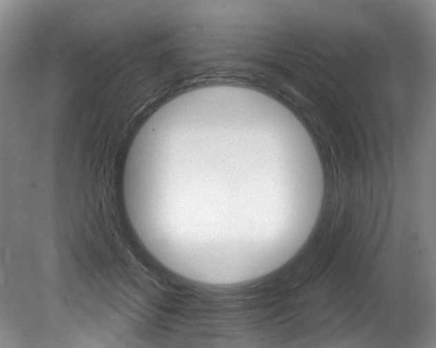 X0000079330556200611170959