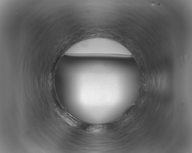 X0000079330563200611170959
