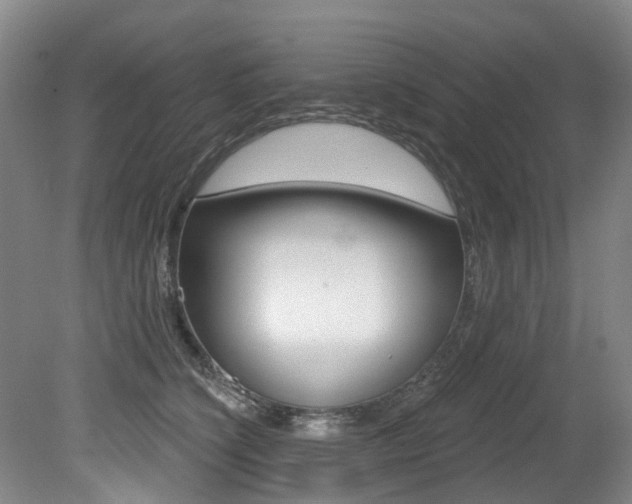 X0000079330564200611170959