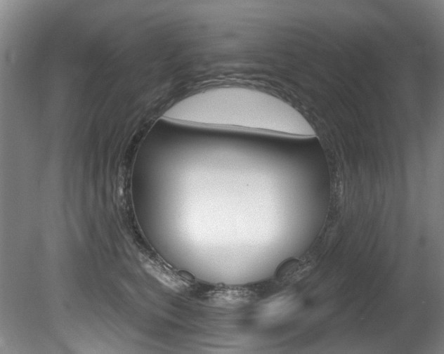 X0000079330567200611170959