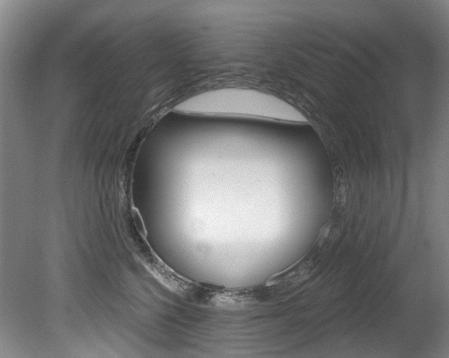 X0000079330568200611170959