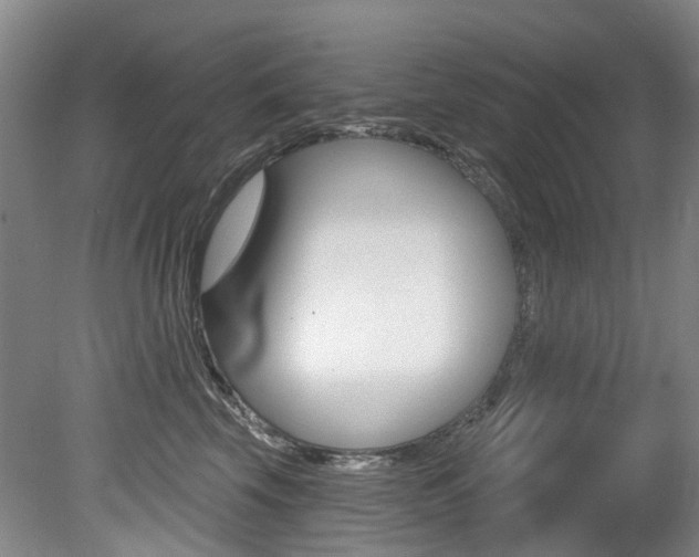 X0000079330569200611170959