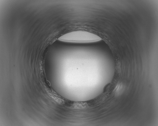 X0000079330571200611170959