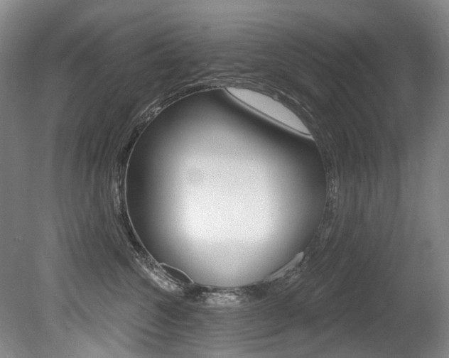 X0000079330572200611170959