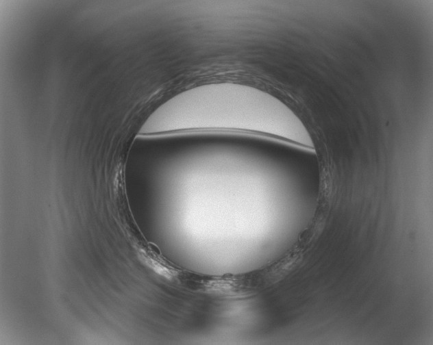 X0000079330574200611170959