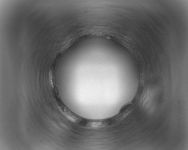 X0000079330575200611170959