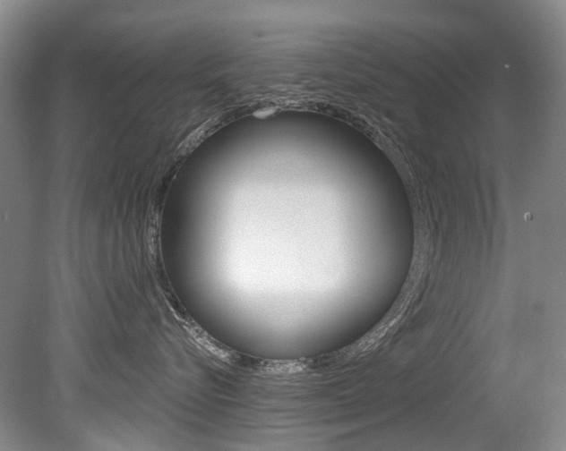 X0000079330576200611170959