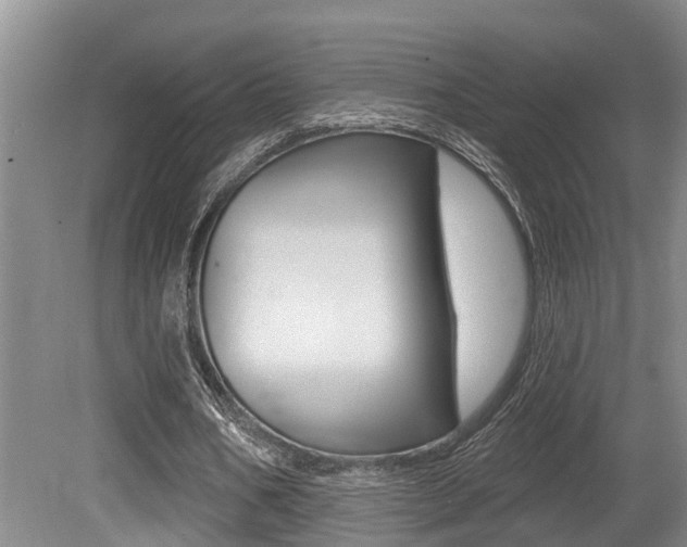 X0000079330578200611170958