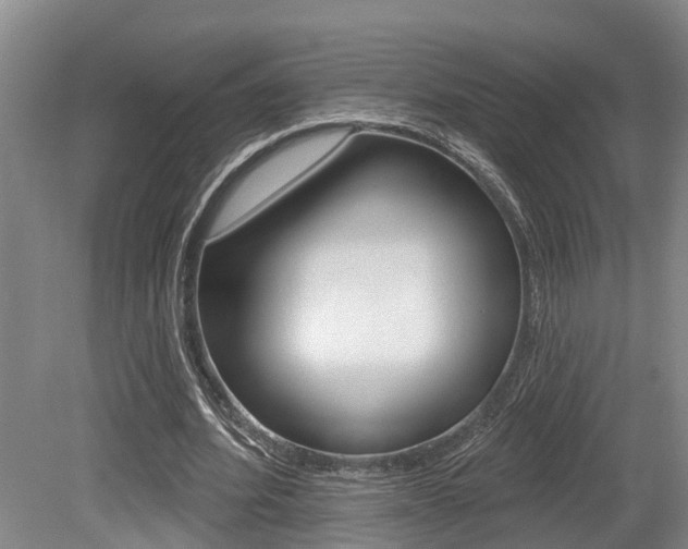 X0000079330580200611170958