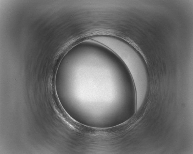 X0000079330581200611170958