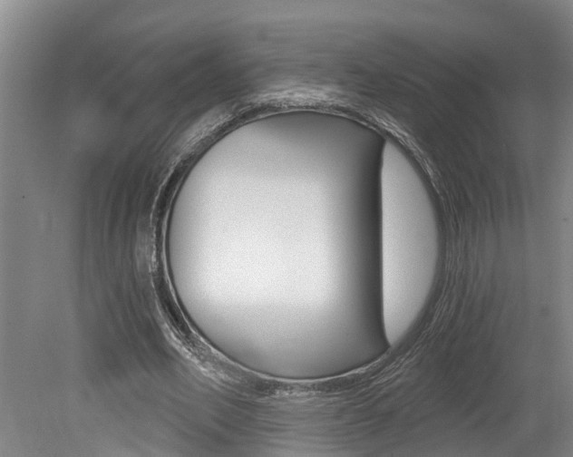 X0000079330582200611170958